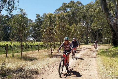 McLaren Vale Wine Tour By Bike - Accommodation in Brisbane 1