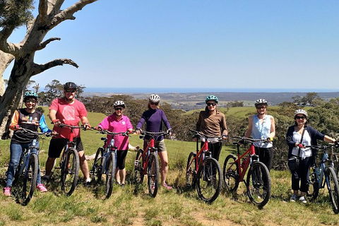 McLaren Vale Wine Tour By Bike - Accommodation in Brisbane 2