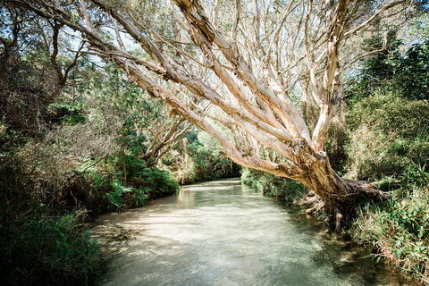 3-Day Fraser Island Resort Package - Accommodation in Brisbane 5
