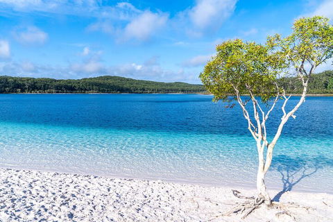 Lake McKenzie Full-Day Tour With Lunch From Hervey Bay - Accommodation in Brisbane 1