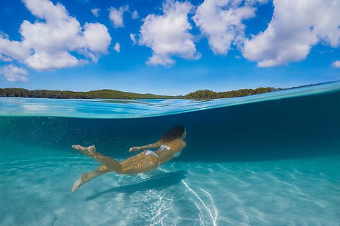 Lake McKenzie Full-Day Tour With Lunch From Hervey Bay - Accommodation in Brisbane 5