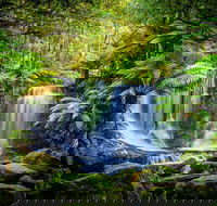 Day Tour in Mt. Field Mt. Wellington Bonorong Wildlife Sanctuary and Richmond - Accommodation in Brisbane