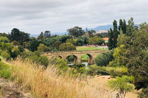 Day Tour In Mt. Field, Mt. Wellington, Bonorong Wildlife Sanctuary And Richmond - Accommodation in Brisbane 3