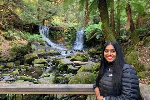 Day Tour In Mt. Field, Mt. Wellington, Bonorong Wildlife Sanctuary And Richmond - Accommodation in Brisbane 5