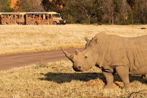 Sunset Safari At Werribee Open Range Zoo - Accommodation in Brisbane 1