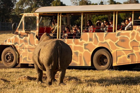 Sunset Safari At Werribee Open Range Zoo - Accommodation in Brisbane 5