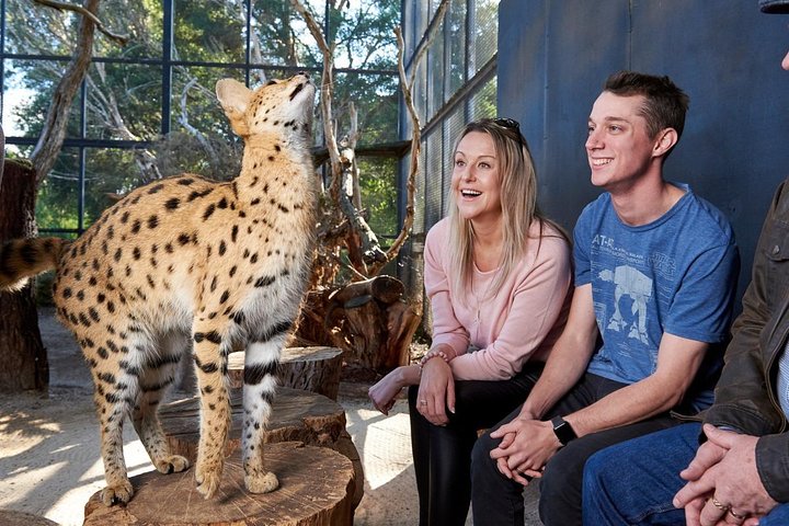  Accommodation in Brisbane