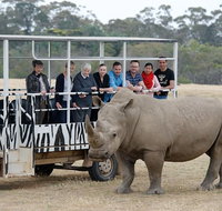 Off-Road Safari at Werribee Open Range Zoo - Accommodation in Brisbane