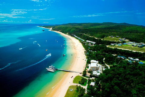 Tangalooma Island Resort Whale Watching Day Cruise - Accommodation in Brisbane 2