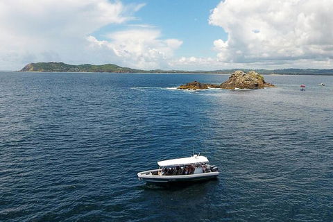 Julian Rocks Byron Bay Cruise - Accommodation in Brisbane 5