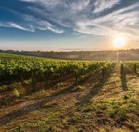 Perth to Margaret River Wine Tour - 2 Day Premium Boutique Wine Tour Experience - Accommodation in Brisbane