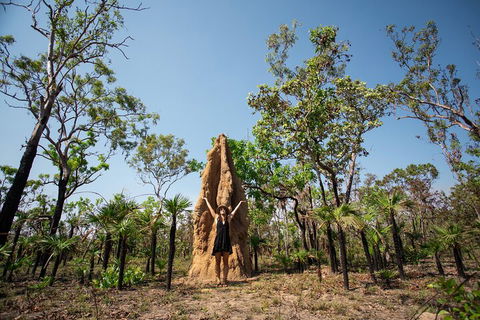 Litchfield National Park - Top End Day Tour From Darwin - Accommodation in Brisbane 5