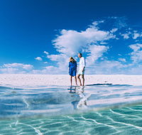4-Day Coastal Loop via Monkey Mia Wild Dolphins Kalbarri Pinnacles Perth Return - Accommodation in Brisbane
