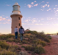 6-Day Coral Coaster from Perth to Exmouth One-Way via Monkey Mia Ningaloo Reef - Accommodation in Brisbane