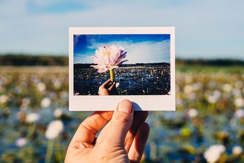 Kakadu Wilderness Escape - Top End Day Tour From Darwin - Accommodation in Brisbane 3