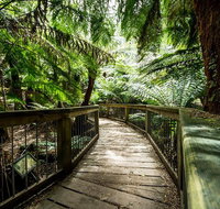 12 Apostles Eco-Friendly Great Ocean Road Iconic Adventure from Melbourne - Accommodation in Brisbane