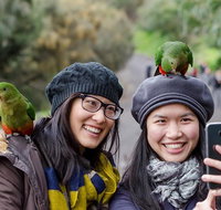 Small-Group Great Ocean Road and 12 Apostles Full-Day Tour from Melbourne - Accommodation in Brisbane