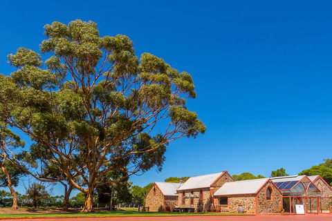 McLaren Vale And Glenelg Wine Tasting And Sightseeing (Half-day Afternoon) - Accommodation in Brisbane 5