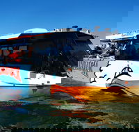 Express Jet Boat Ride  Aquaduck - Accommodation in Brisbane