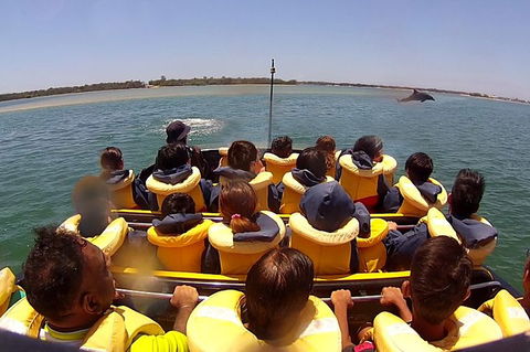 Jet Boat Express Ride - 30mins - Accommodation in Brisbane 5