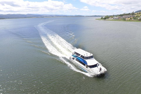 2.5 Hour Morning Discovery Cruise Including Sailing Into The Cataract Gorge - Accommodation in Brisbane 2
