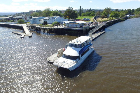 2.5 Hour Morning Discovery Cruise Including Sailing Into The Cataract Gorge - Accommodation in Brisbane 3