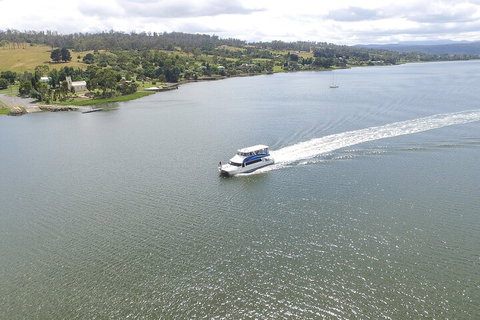 2.50 Hour Afternoon Discovery Cruise Including Cataract Gorge Departing At 3 Pm - Accommodation in Brisbane 4