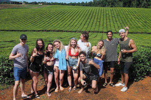 Atherton Tablelands Waterfalls Tour From Cairns - Accommodation in Brisbane 1