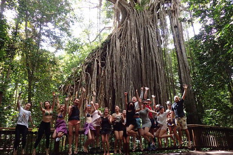 Atherton Tablelands Waterfalls Tour From Cairns - Accommodation in Brisbane 5