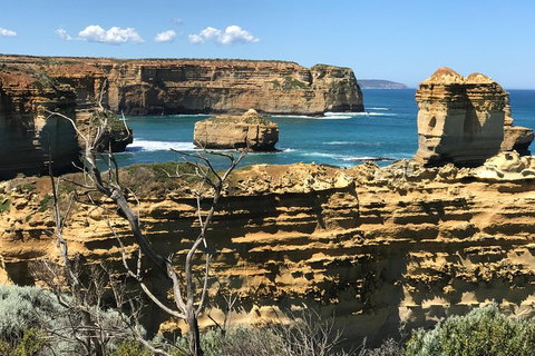 Great Ocean Road Reverse Itinerary Tour - Accommodation in Brisbane 1