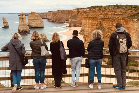 Great Ocean Road Reverse Itinerary Tour - Accommodation in Brisbane 2
