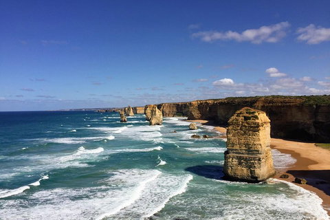 Great Ocean Road Reverse Itinerary Tour - Accommodation in Brisbane 4