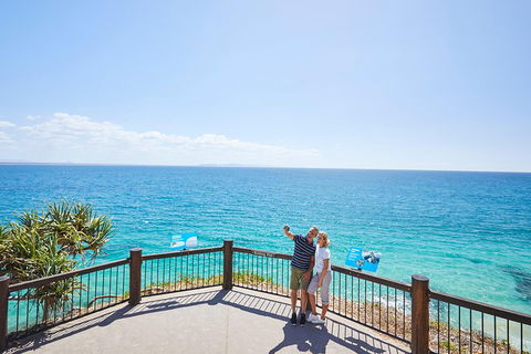 Noosa Everglades Serenity Cruise & Highlights Tour Inc. Lunch & Cruise - Accommodation in Brisbane 3