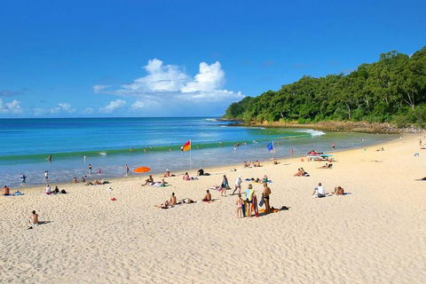 Noosa Everglades Serenity Cruise & Highlights Tour Inc. Lunch & Cruise - Accommodation in Brisbane 4