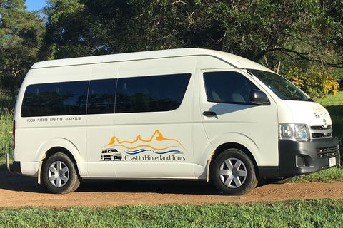 Noosa Everglades Serenity Cruise & Highlights Tour Inc. Lunch & Cruise - Accommodation in Brisbane 5