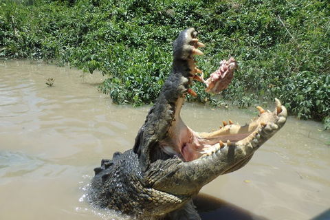 Litchfield And Jumping Crocodiles Full Day Trip From Darwin - Accommodation in Brisbane 3