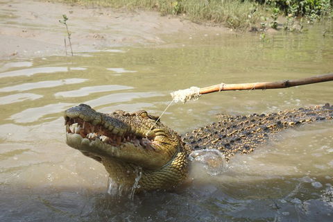 Litchfield And Jumping Crocodiles Full Day Trip From Darwin - Accommodation in Brisbane 4