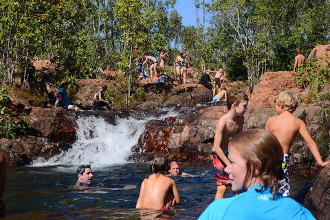 Litchfield And Jumping Crocodiles Full Day Trip From Darwin - Accommodation in Brisbane 5
