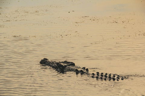 Yellow Water Cruise - Kakadu - Accommodation in Brisbane 2