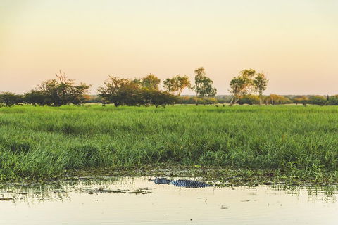Yellow Water Cruise - Kakadu - Accommodation in Brisbane 3