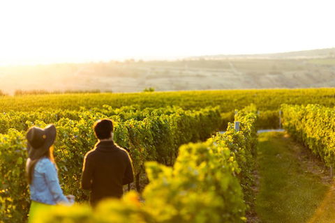 Margaret River Private Tour - Accommodation in Brisbane 2
