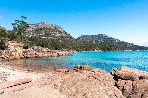 Wineglass Bay & Freycinet NP Full Day Tour From Hobart Via Richmond Village - Accommodation in Brisbane 5