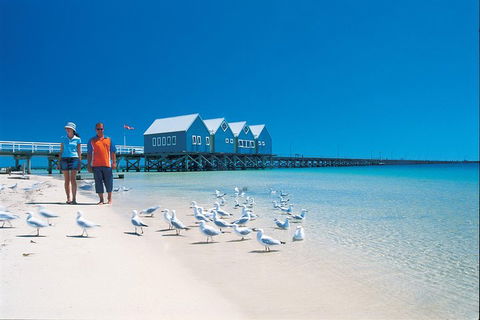 Margaret River And Geographe Bay Region Day Trip From Perth - Accommodation in Brisbane 0