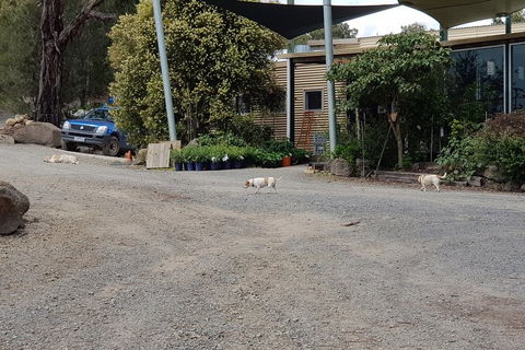 Yarra Valley Wineries And Rayners Orchard Tour From Melbourne - Accommodation in Brisbane 0