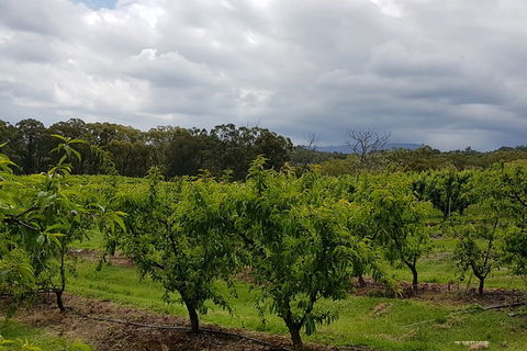 Yarra Valley Wineries And Rayners Orchard Tour From Melbourne - Accommodation in Brisbane 4