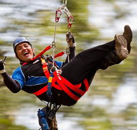 12 Apostles and Otway Fly Zipline Day Trip from Melbourne - Accommodation in Brisbane