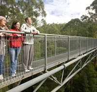 Adventure Sunset Three Day Great Ocean Road Tour - Accommodation in Brisbane