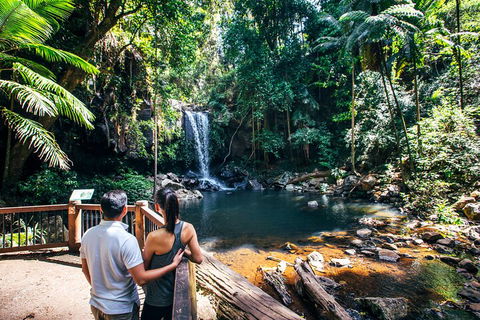 Aquaduck & Your Choice Of Gold Coast Rainforest Tour - Accommodation in Brisbane 0
