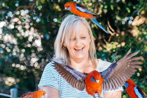 Aquaduck & Your Choice Of Gold Coast Rainforest Tour - Accommodation in Brisbane 5