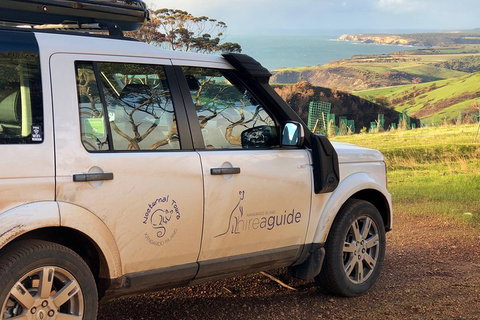 Kangaroo Island 4WD Tour - Best Of KI In 2 Days - Accommodation in Brisbane 4